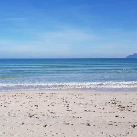 Ideal Property Mallorca - Marvi 阿尔库迪亚 外观 照片