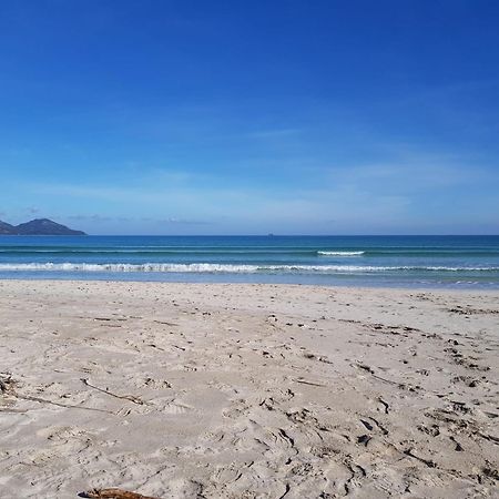 Ideal Property Mallorca - Marvi 阿尔库迪亚 外观 照片
