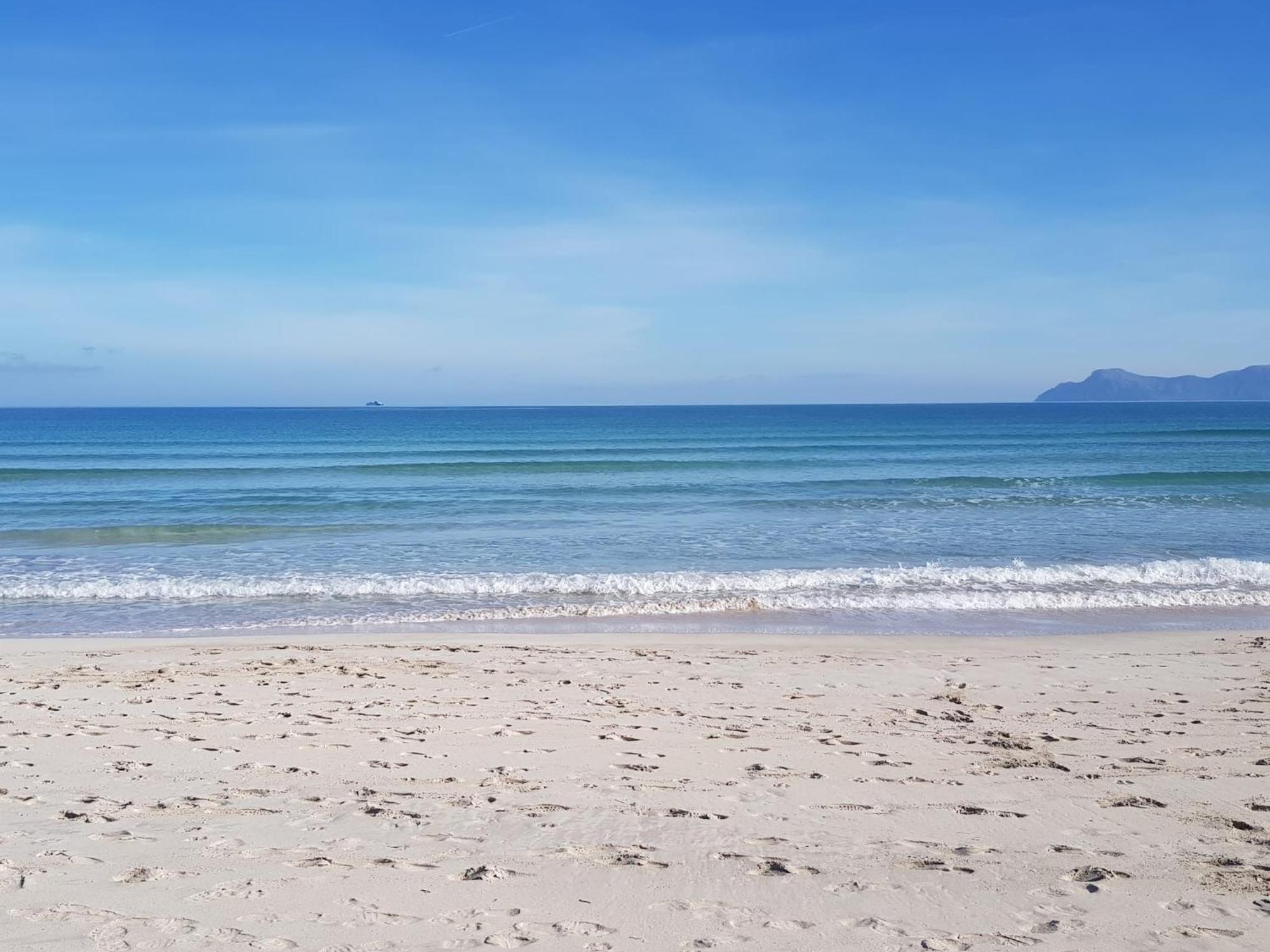 Ideal Property Mallorca - Marvi 阿尔库迪亚 外观 照片