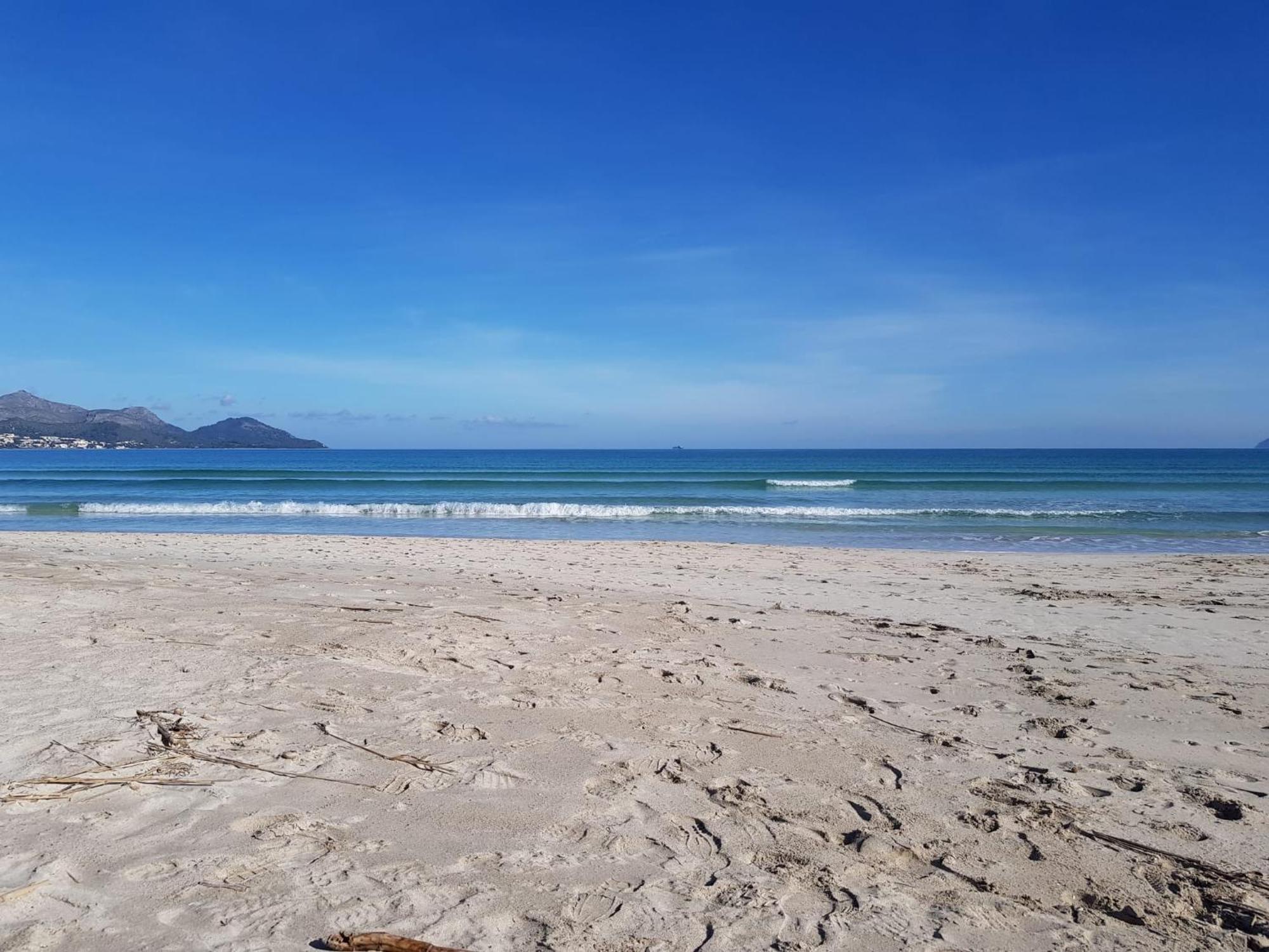 Ideal Property Mallorca - Marvi 阿尔库迪亚 外观 照片